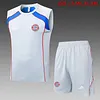 2025/2026 Bayern Munich Pre-Match Training Grey Vest+Shorts Football1:1 Thai Quality