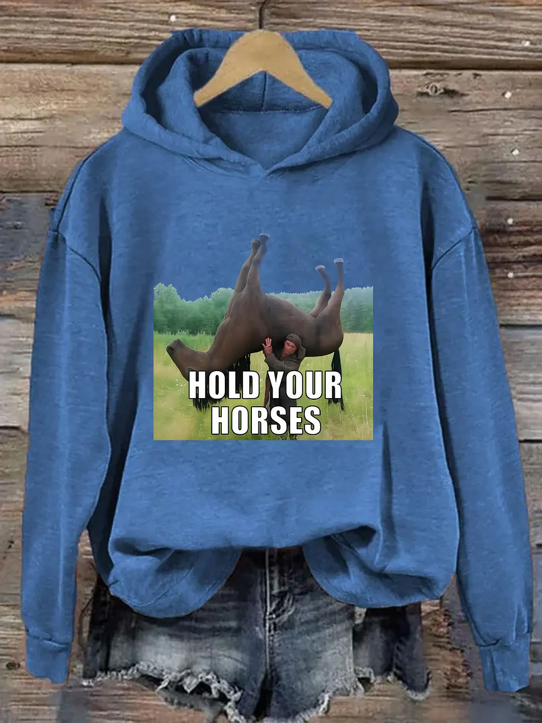 Hold Your Horses Funny Hoodie