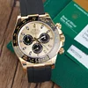 Rolex 116518LN Daytona Champagne-colour and Black - New