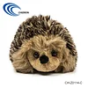 Plush hedgehhog
