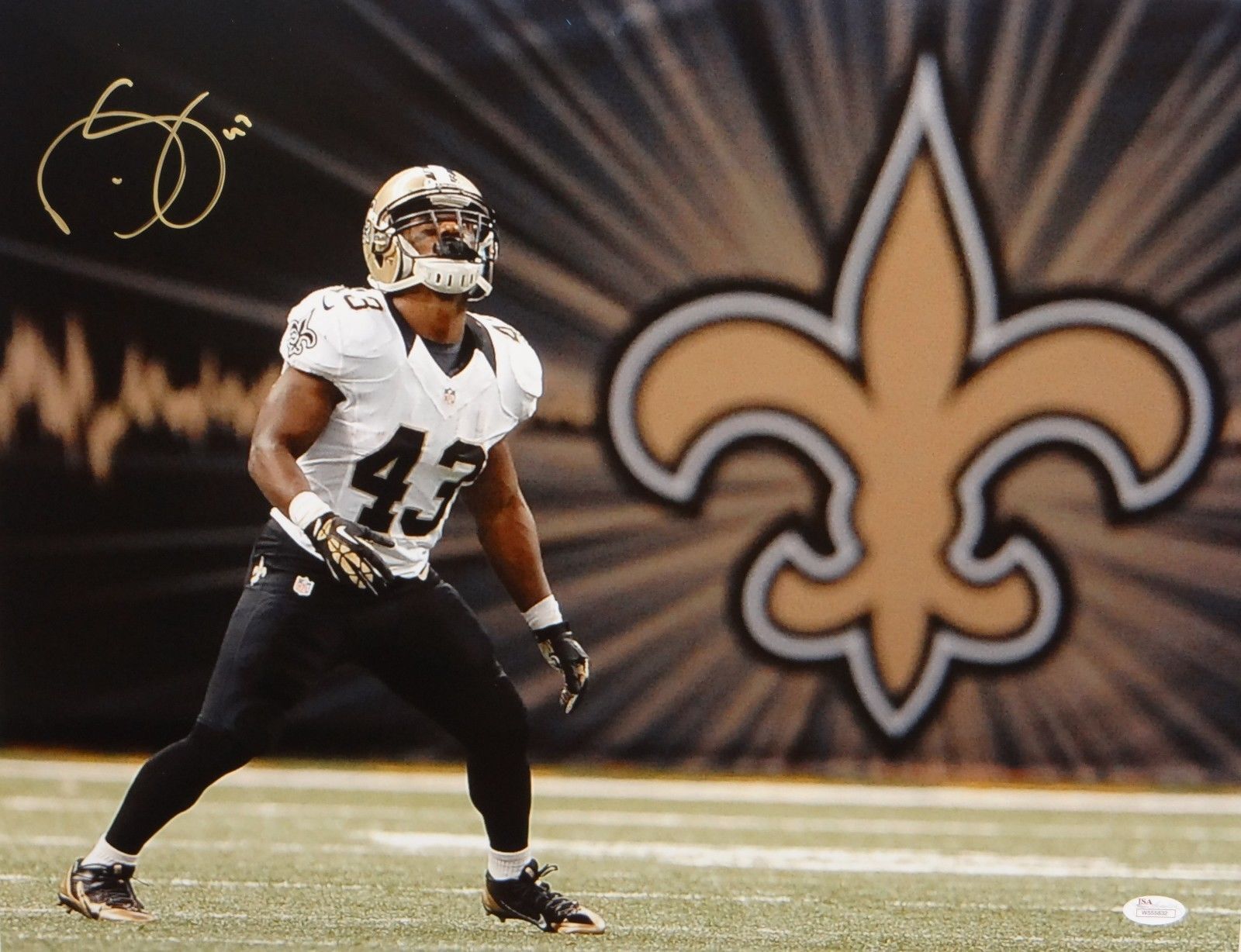 Darren Sproles Autographed 16x20 Saints On Field Photo Poster painting- JSA W Authenticated