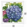Hydrangea-14CT Stamped Cross Stitch-48*48cm(Brand)