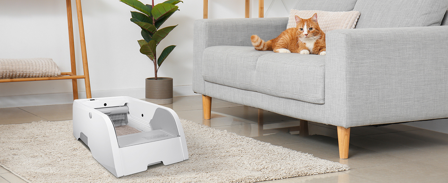Self Cleaning Cat Litter Box