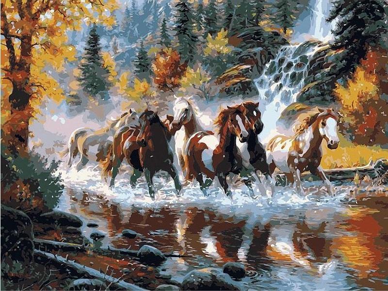 

River Horse – Paint By Numbers - 40*50CM, 501 Original