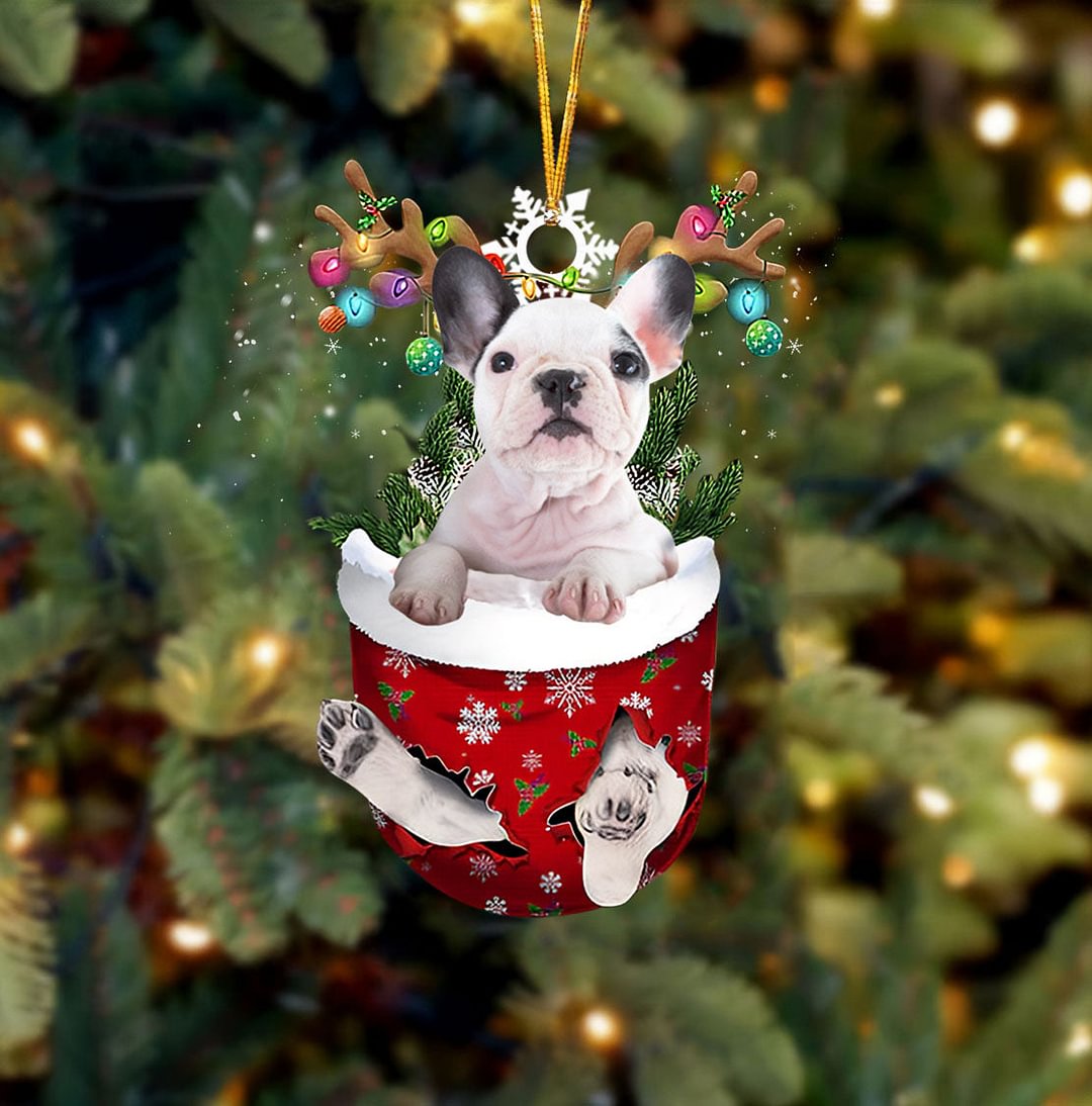 White French Bull Dog In Snow Pocket Christmas Ornament.