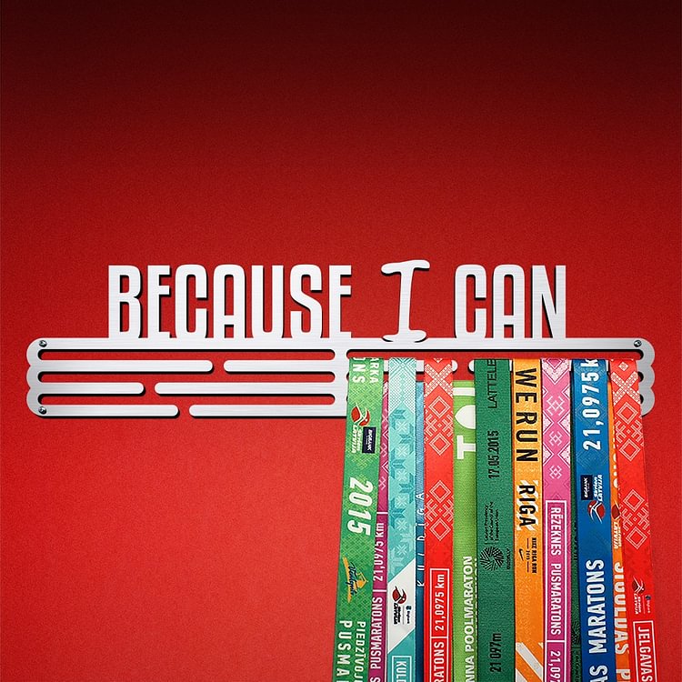 BECAUSE I CAN Medal Hanger Display – Brushed Stainless Steel – Large / 430mm / 48 Medals