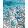 (Counted/Stamped) Beach Shell-11CT Cross Stitch 40*50cm