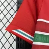 2026 Wales Home Football Shirt 1:1 Thai Quality