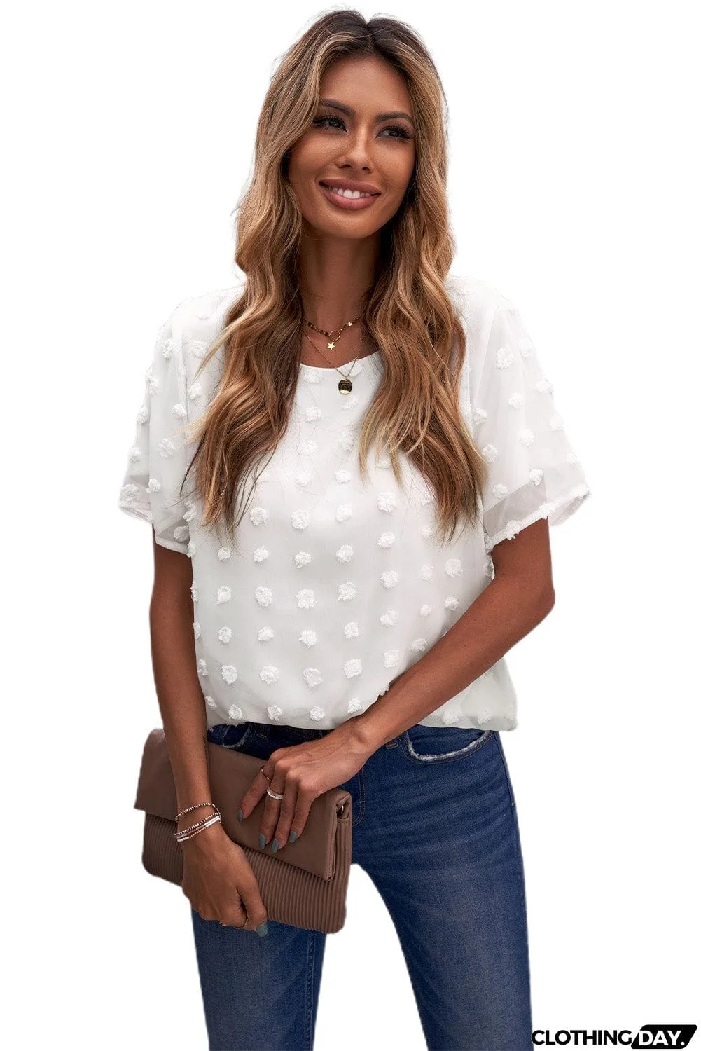 Chic White Swiss Dot Texture Round Neck Short Sleeve Top