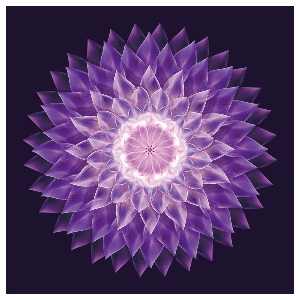 

40x40cm - Dream Flower - Special-Shaped Drill Diamond Painting, 501 Original
