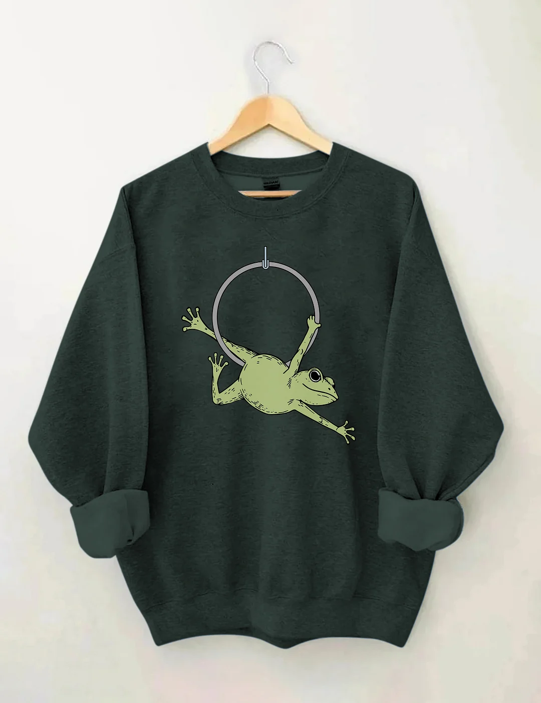Funny Aerial Hoop Frog Sweatshirt