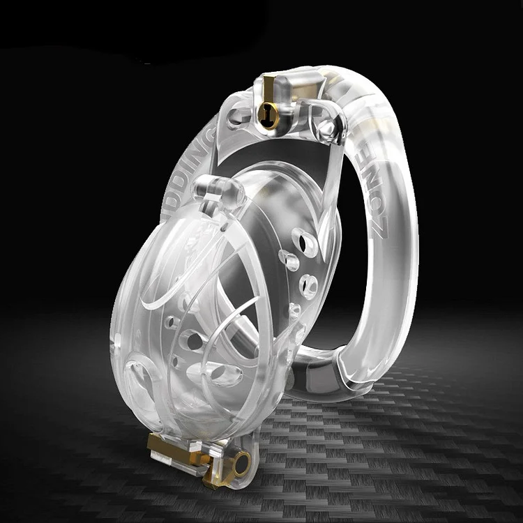 Double Locking System Chastity Cage  Weloveplugs