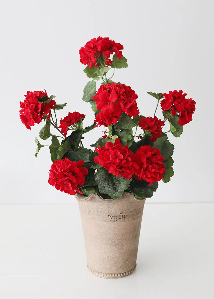 UV Protected Outdoor Geranium Bush - 22"