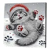 DIY Special Shaped Drill Diamond Painting Kit Framed - Cat