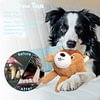 Zoo Ball | 2-in-1 Plush and Squeaky Tennis Ball for Dog | No Stuffing Tough Interactive Fetch Dog Toys for Small Medium Large Dogs