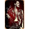Freddie Mercury - Vintage Metal Signs(8*12Inch) - Music