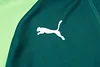 Joyfball 2024/2025 Palmeiras Long Zipped Jacket Dark Green Football Shirt 1:1 Thai Quality