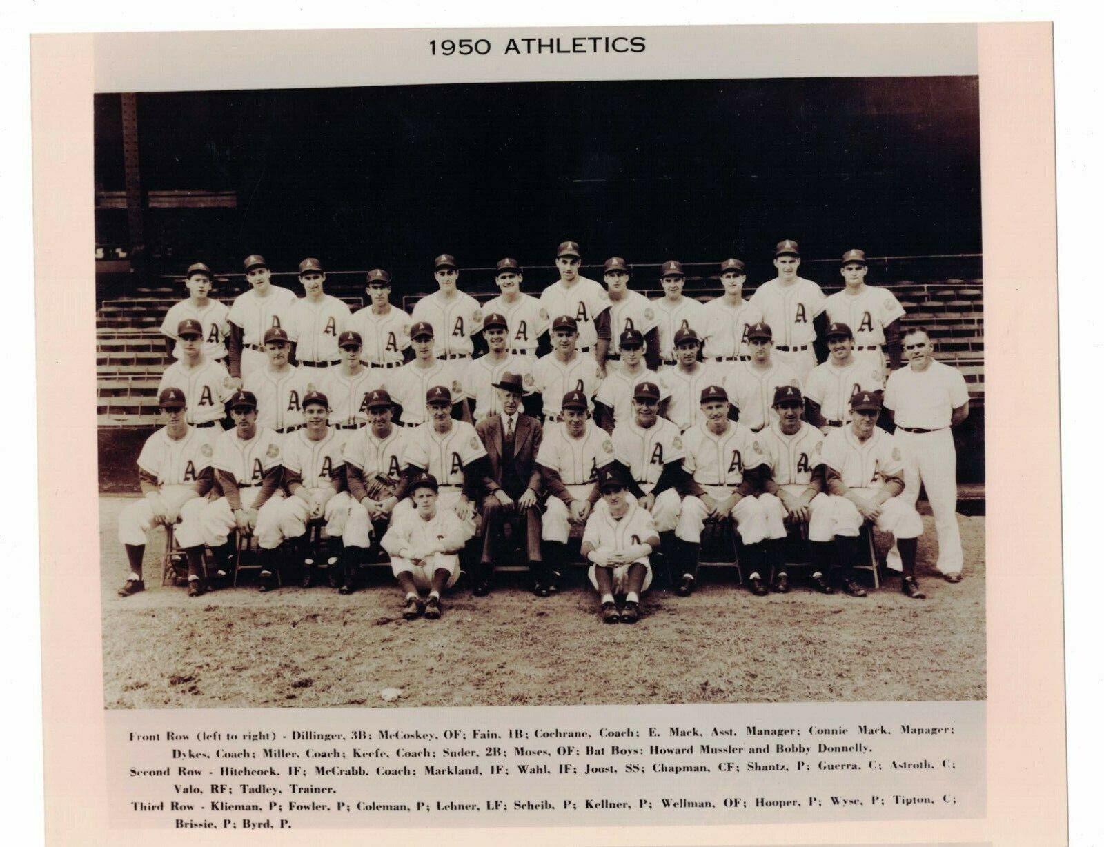 VINTAGE 1950 Philadelhia Athletics Baseball Team 8 x 10