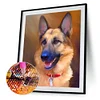Peinture ronde de diamant de perceuse de chien-30*40cm