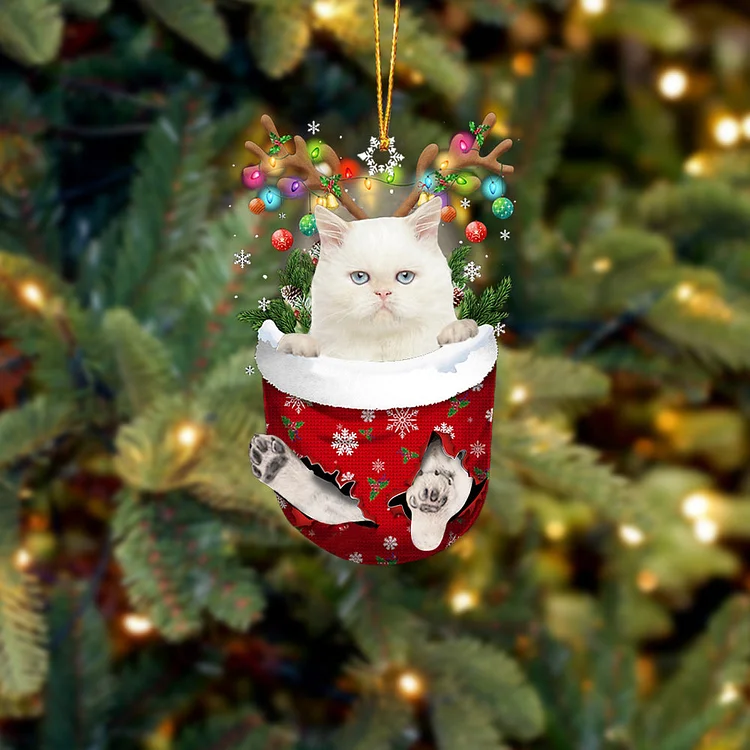 Cat 23 In Snow Pocket Christmas Ornament