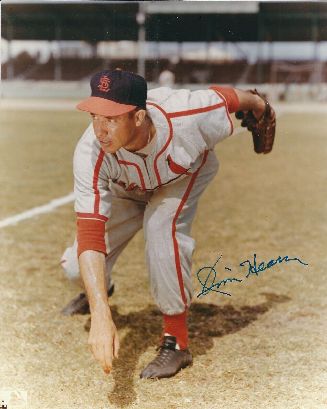 Signed 8x10 JIM HEARN St. Louis Cardinals Autographed Photo Poster painting - COA