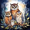 (US Only)Owl Printed Cross Stitch Kit 45x45cm DIY 11CT Thread Art Needlework Home Art