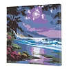 Framed Beach Night View-Paint by Numbers Acrylic Painting 20*20cm(HOT)
