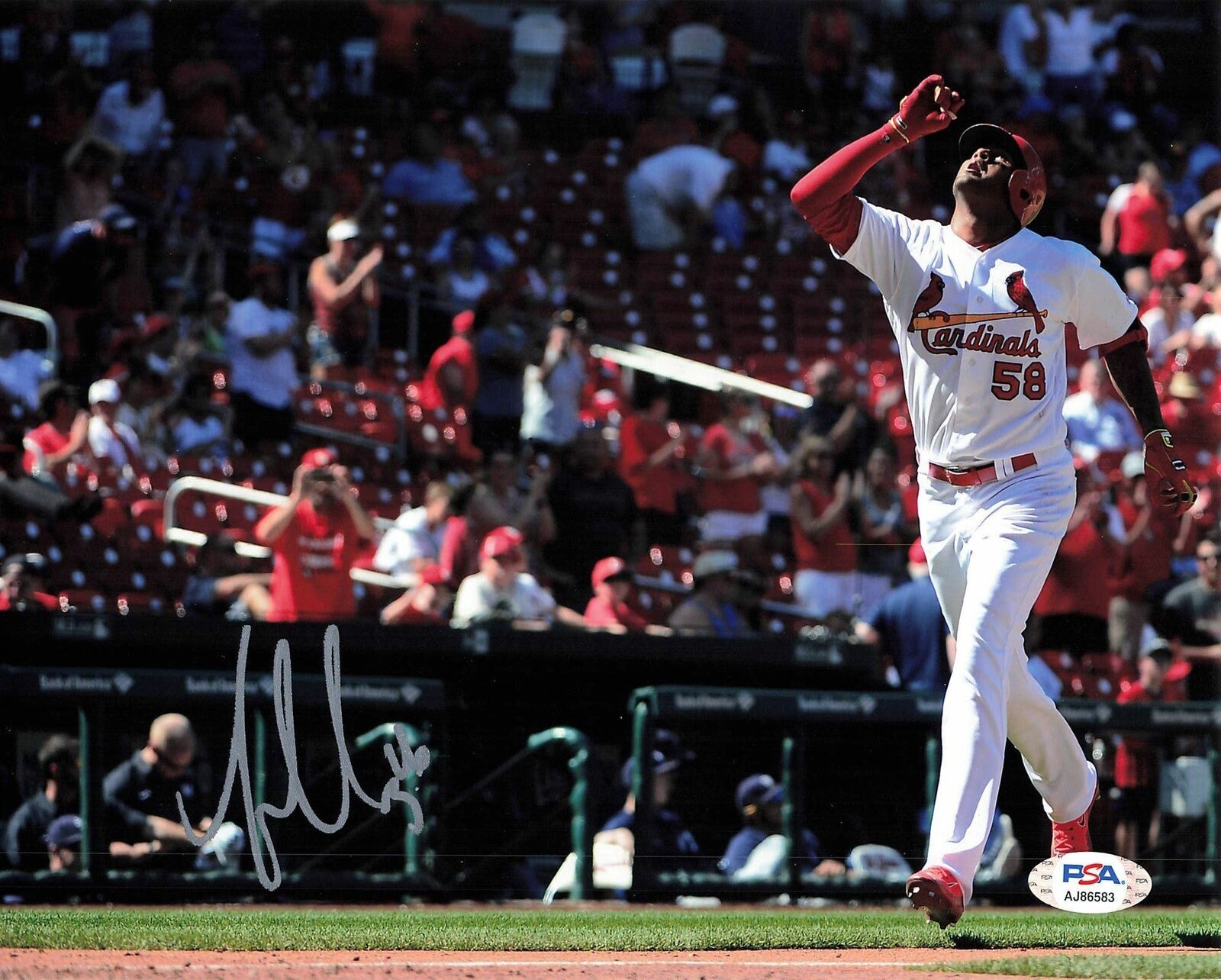 JOSE MARTINEZ signed 8x10 Photo Poster painting PSA/DNA St. Louis Cardinals Autographed