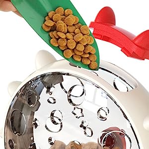 Pet slow feeder