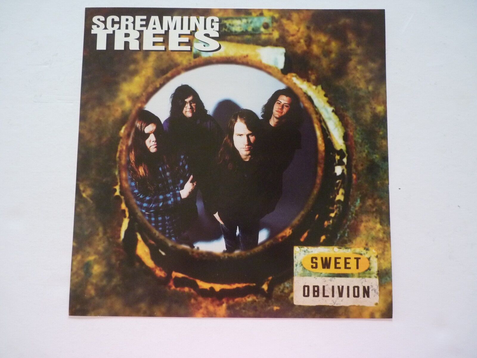 Screaming Trees Sweet Oblivion LP Record Photo Poster painting Flat 12X12 Poster