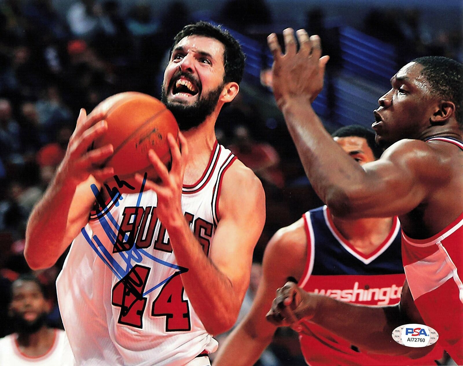 Nikola Mirotic signed 8x10 Photo Poster painting PSA/DNA Chicago Bulls Autographed Bucks