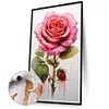 (Big Size)Texture Rose-Paint by Numbers Acrylic Painting 40*70CM
