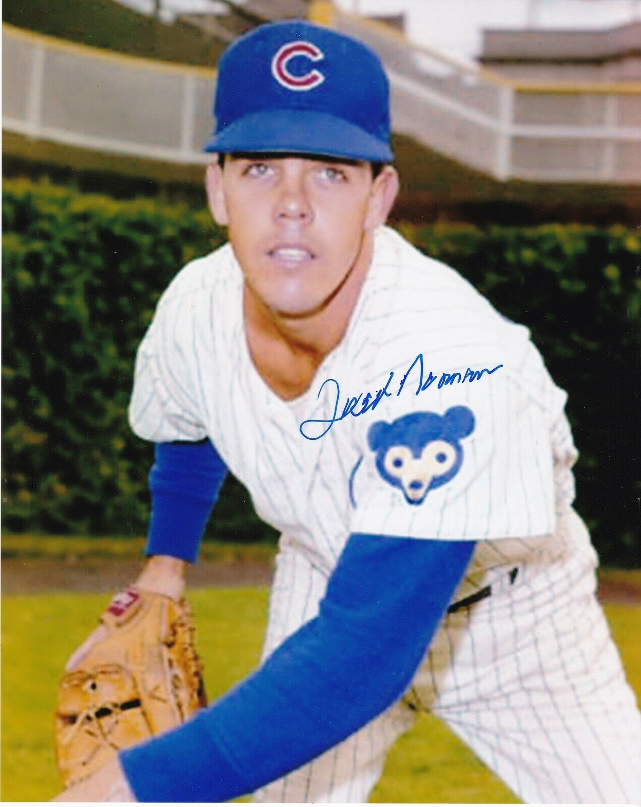 FRED NORMAN CHICAGO CUBS ACTION SIGNED 8x10