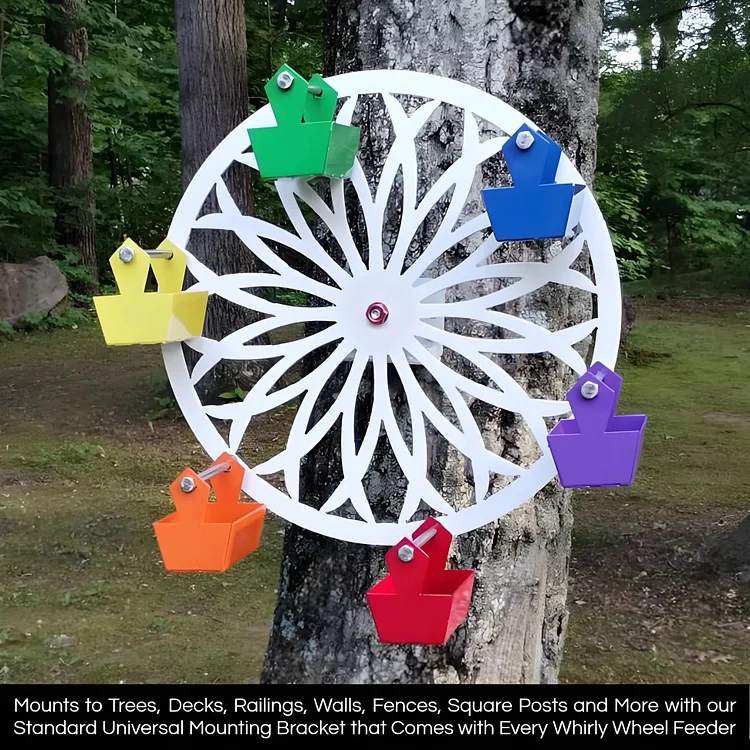 The Ferris Wheel of Fun for Your Feathered Friends 