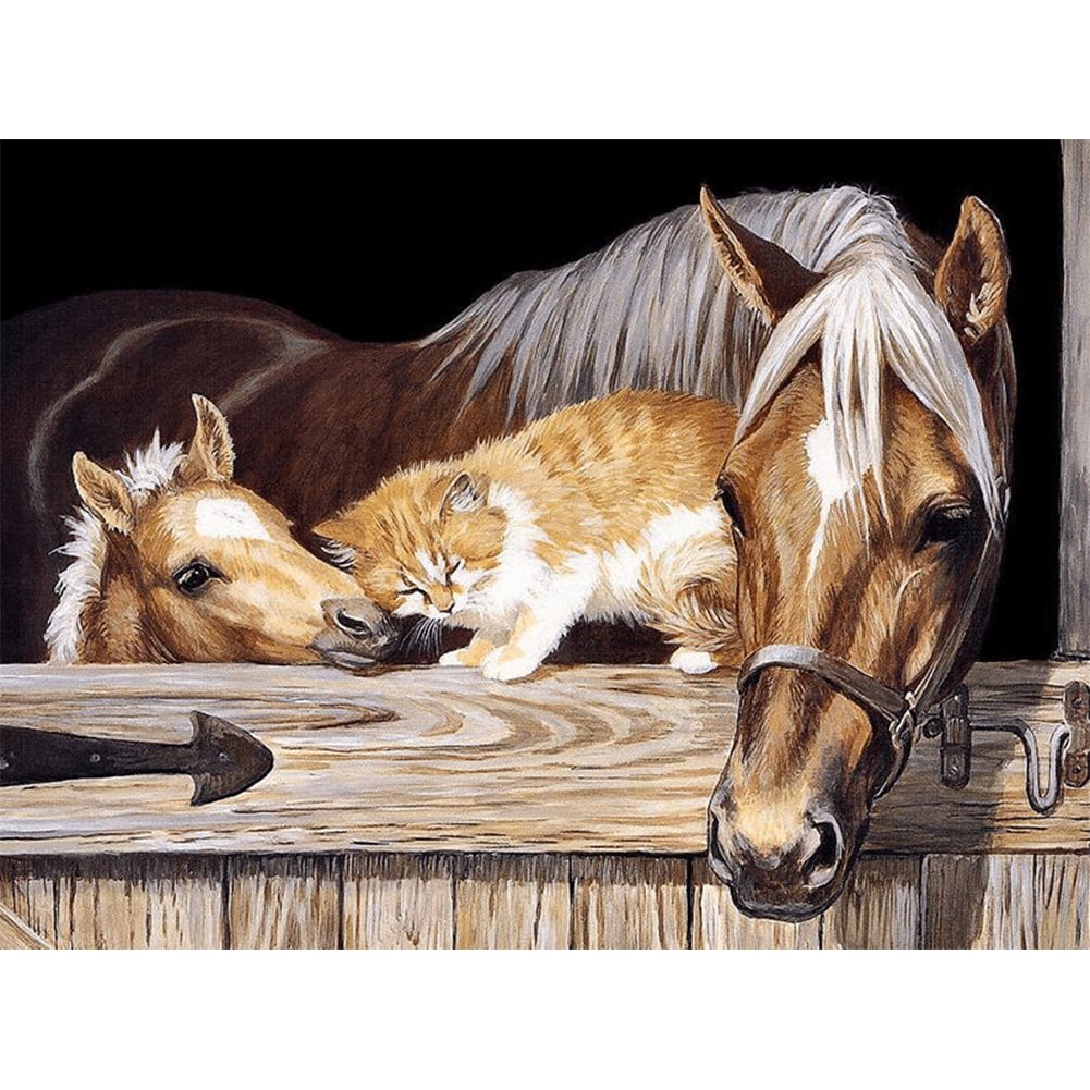 Horse - Painting By Numbers