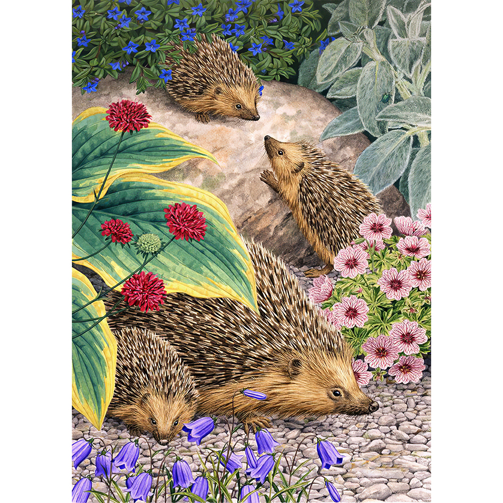 

Cute Hedgehog - Round Drill Diamond Painting - 30*40CM, 501 Original
