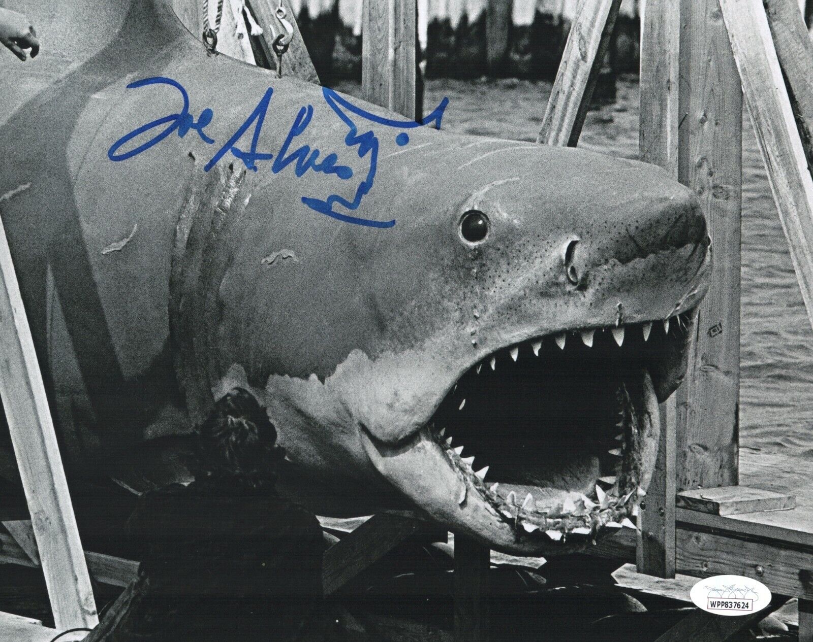 JOE ALVES Signed JAWS SHARK DESIGNER 8x10 Photo Poster painting Autograph JSA COA WPP Cert