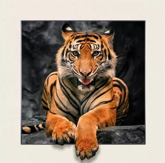 Diamond Painting - Full Round/Square Drill - Animals(30*30 - 50*50cm)