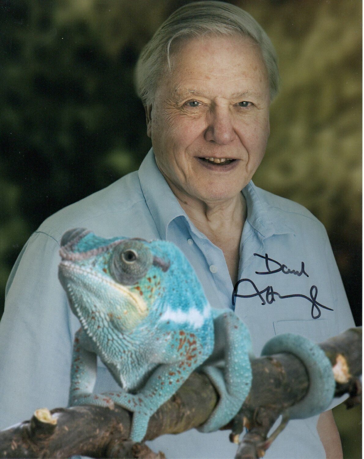 David Attenborough HAND Signed 10x8' Photo Poster paintinggraph Naturalist Broadcaster Autograph