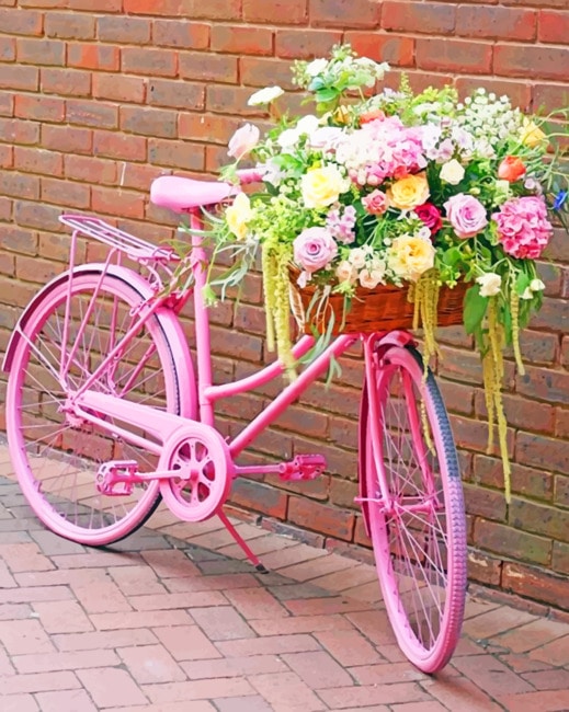 

Pink Bike With Flowers – Paint By Numbers - 40*50CM, 501 Original