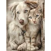 Cat Dog - Full Round Drill Diamond Painting
