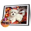 Chien Blanc - Rond Diamant Peinture 40*30CM