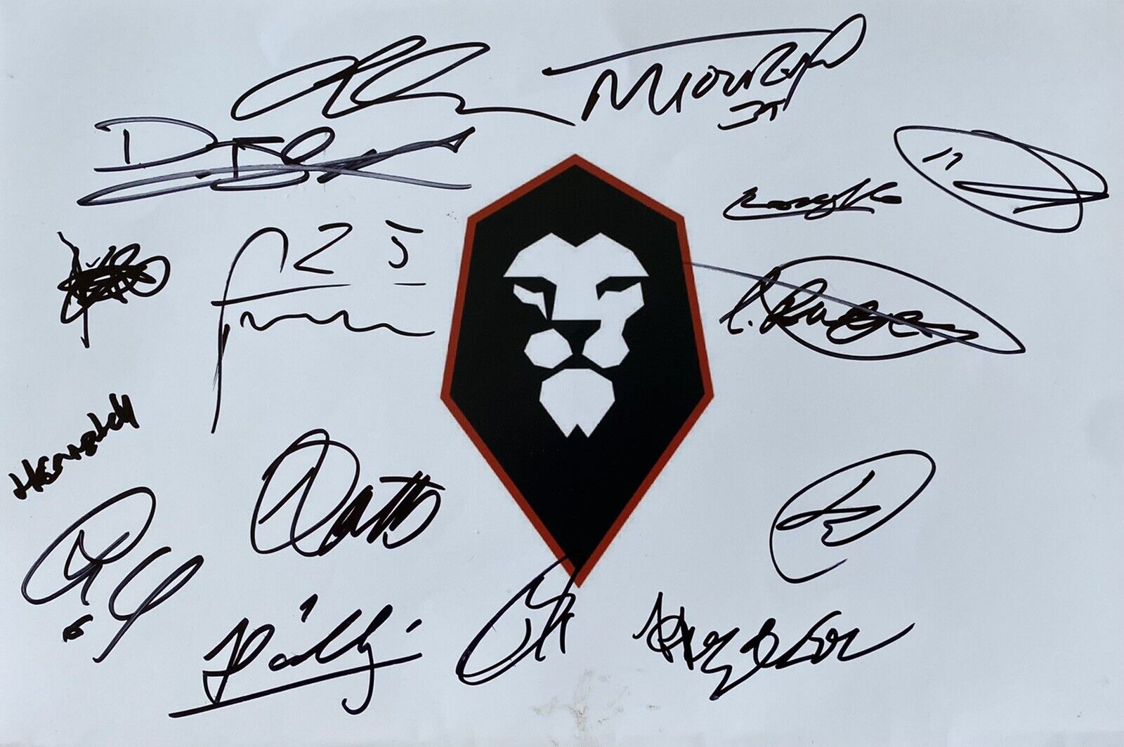 Salford City 12x8 Photo Poster painting Signed By 2020/21 Squad Inc Touray & Lowe, Exact Proof