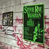 Stevie Ray - Metal Tin Signs(8*12Inch/12*16Inch)