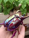 Clockwork beetle toy insect beetle simulation animal rhinoceros beetle electroplating mechanical model