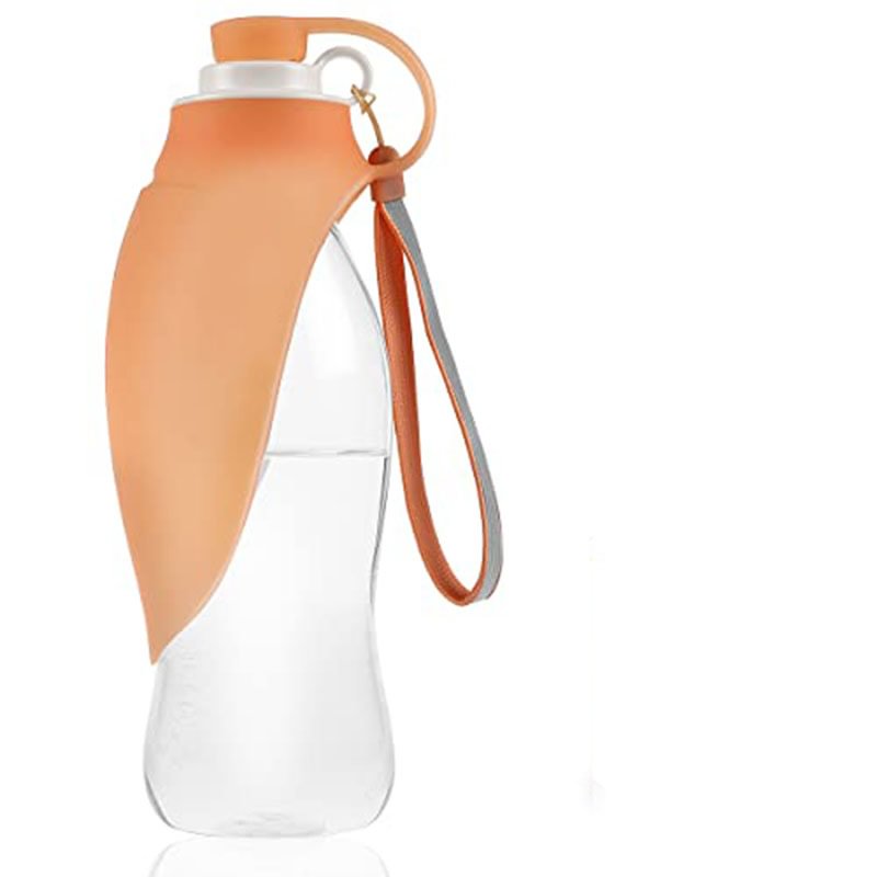 Dog Water Bottle for Walking