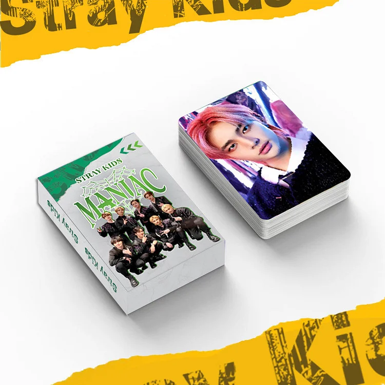 Stray Kids 2023 World Tour MANIAC ENCORE Polaroid Photocard