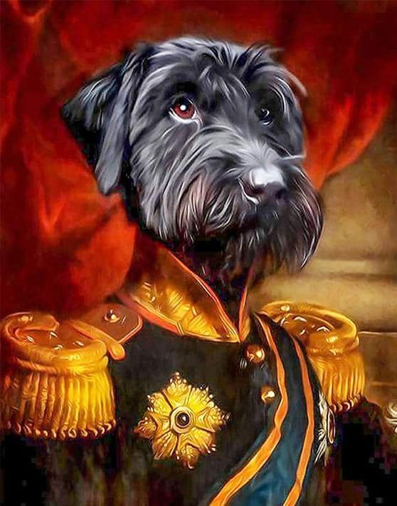 

General Dog – Paint By Numbers - 40*50CM, 501 Original