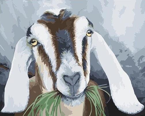 

Goats eat grass – Paint By Numbers - 40*50CM, 501 Original