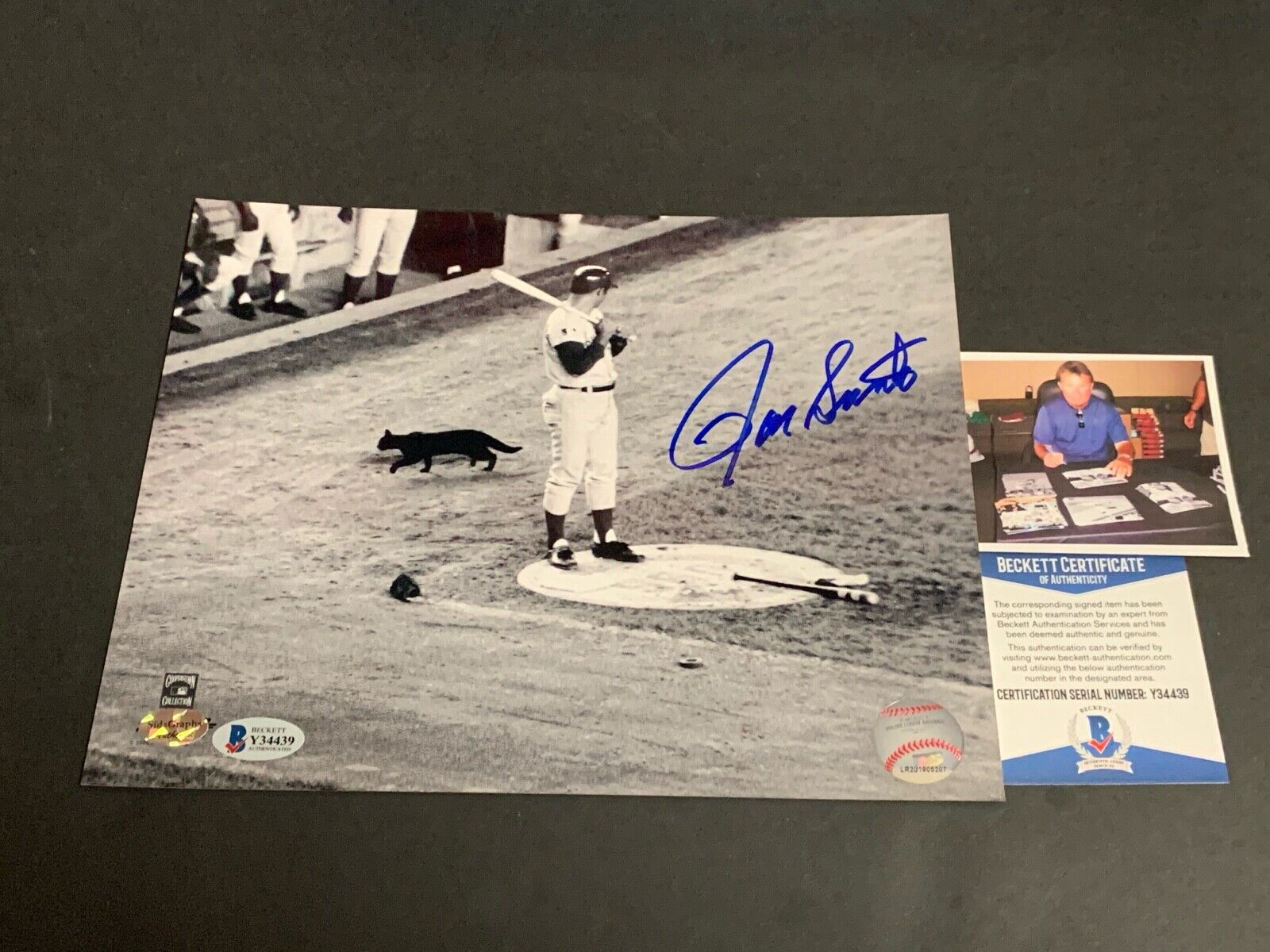 Ron Santo Chicago Cubs Autographed Signed 8x10 Photo Poster painting Black Cat Beckett COA